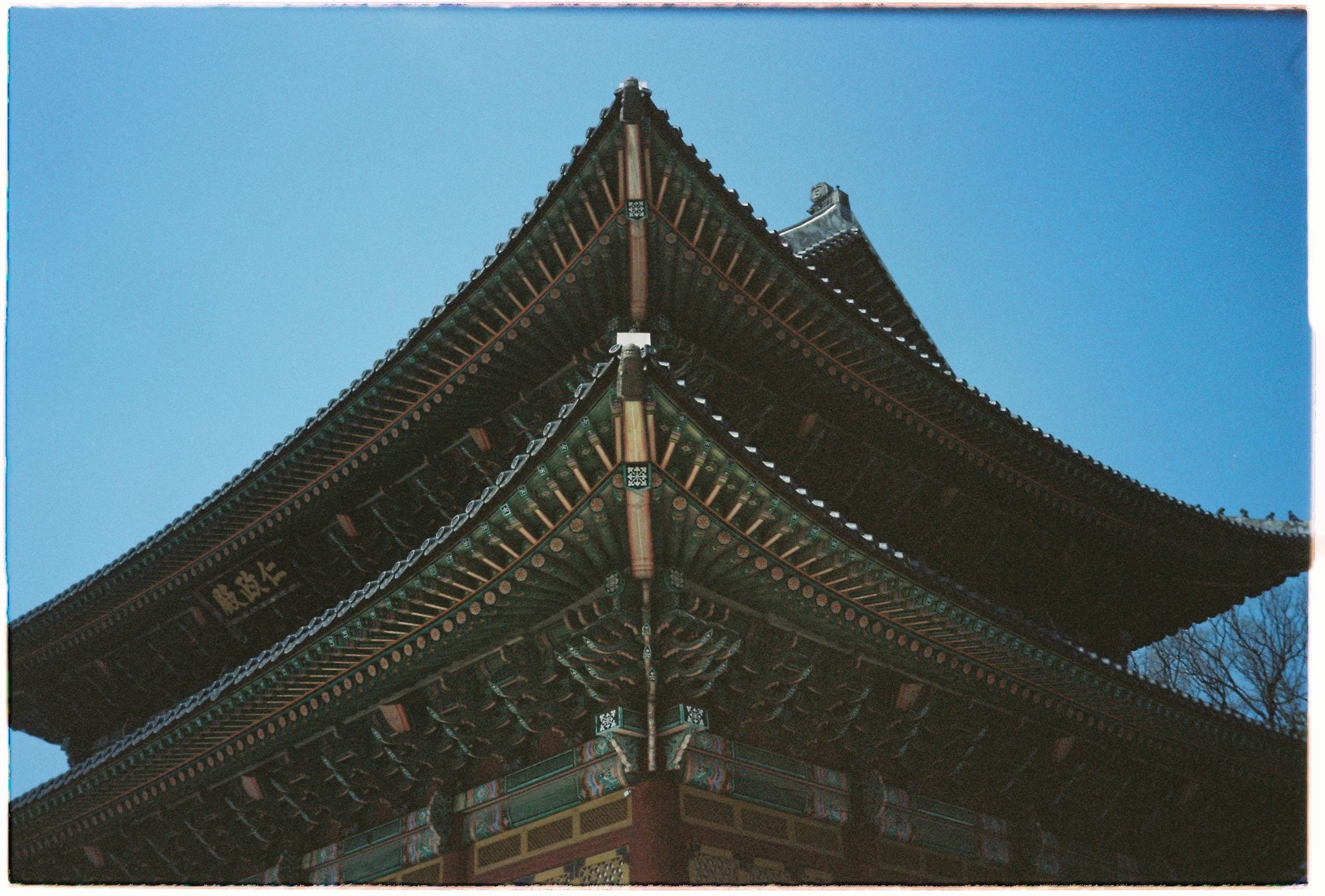 Kodak Portra 160, portra 160