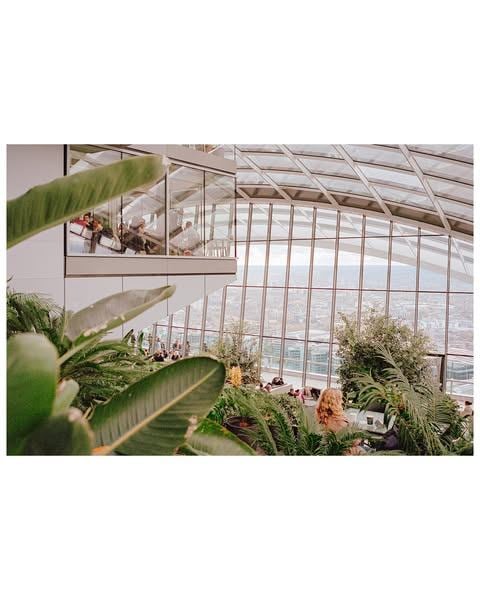 Kodak Ektar Color Pro 400, film cuộn 35mm
