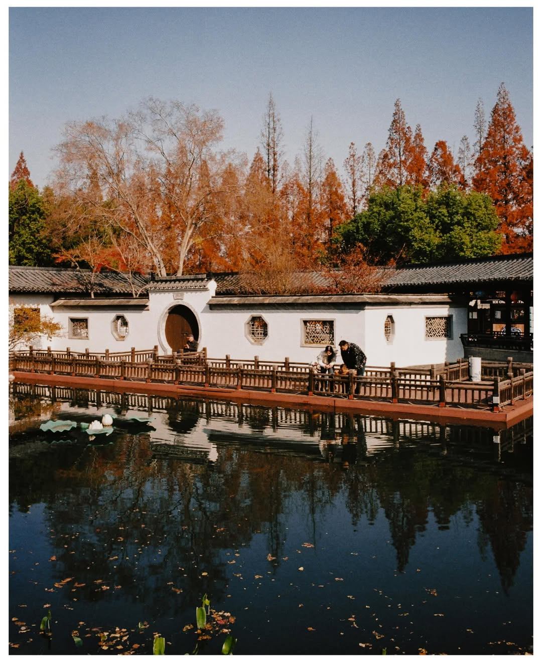 EKTACOLOR PRO 160, film cuộn 35mm