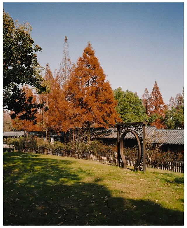 EKTACOLOR PRO 160, film cuộn 35mm