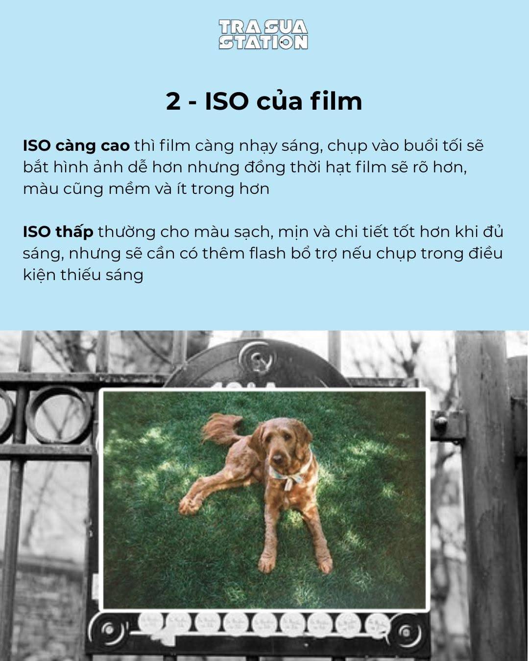 yếu tố làm đổi màu film, màu  film thay đổi do đâu