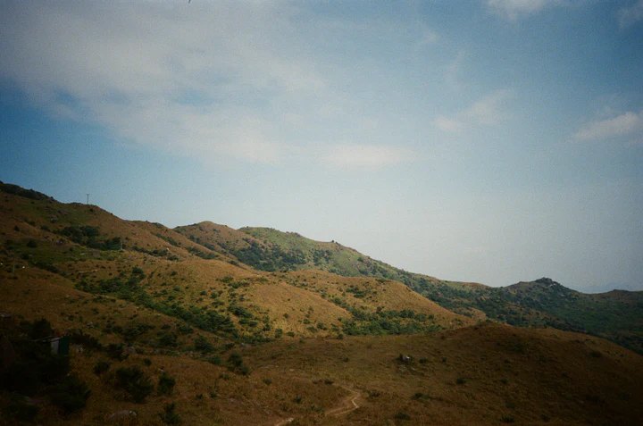 maple 100, fim cuộ 35mm