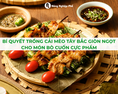 Cải Mèo Là Rau Gì? Bí Quyết Trồng Cải Mèo Tây Bắc Giòn Ngọt Cho Món Bò Cuốn Cực Phẩm