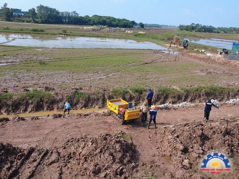 Xe rùa bánh xích: Vượt mọi địa hình – Giải pháp vận chuyển 