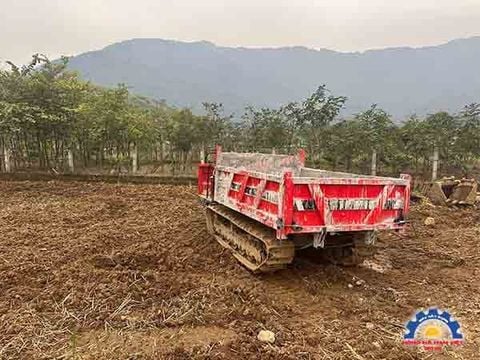 Mua xe rùa bánh xích ở đâu uy tín, bảo hành đầy đủ?