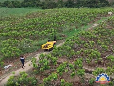 Xe rùa bánh xích Hồng Hà đồng hành cùng nông dân Tây Nguyên