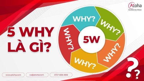 5 Whys là gì? Cách tìm nguyên nhân gốc rễ và giải quyết vấn đề