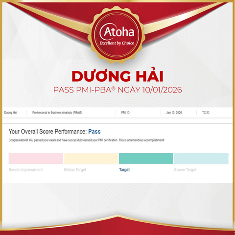 Dương Hải, PMI-PBAONLINEPRO18, pass PMI-PBA® ngày 10/01/2026