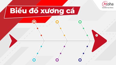Biểu đồ xương cá (Fishbone Diagram) là gì?