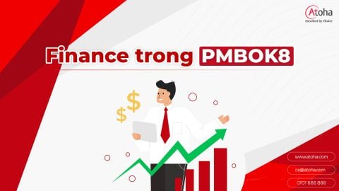 Lĩnh vực hiệu suất Tài chính (Finance) trong Quản lý Dự án theo PMBOK8
