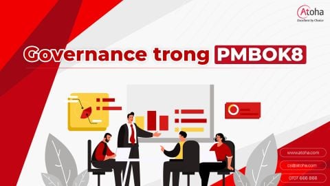 Lĩnh vực hiệu suất Quản trị (Governance) trong Quản lý Dự án