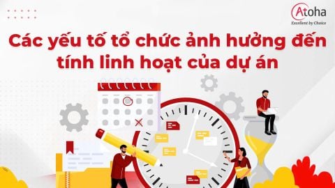 Các yếu tố tổ chức ảnh hưởng đến tính linh hoạt của dự án