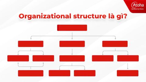 Organizational structure là gì? Các loại cấu trúc tổ chức