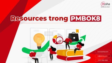Lĩnh vực hiệu suất Nguồn lực (Resources) trong Quản lý Dự án theo PMBOK8