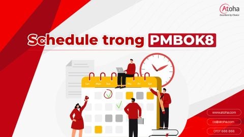 Lĩnh vực hiệu suất Tiến độ (Schedule) trong Quản lý Dự án theo PMBOK8