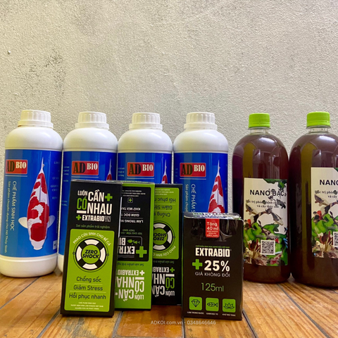 Hồ Koi “Sạch” Khác Với Hồ Koi “Ổn Định” Như Thế Nào?