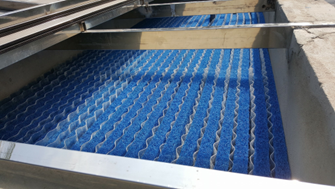 Hướng Dẫn Cách Phân Chia Ngăn Lọc Hồ Cá Và Lắp Đặt Đèn UV Chuẩn