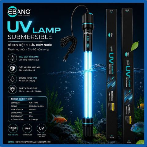 Đèn UV Hồ Cá Koi: Hiểu Đúng Công Nghệ, Chọn Đúng Công Suất, Lắp Đặt Đúng Chuẩn