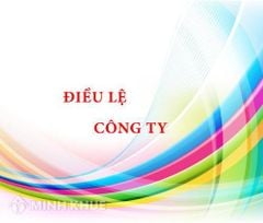 Điều lệ Công ty Cổ phần Dịch vụ Sân bay Quốc tế Cam Ranh (2026)