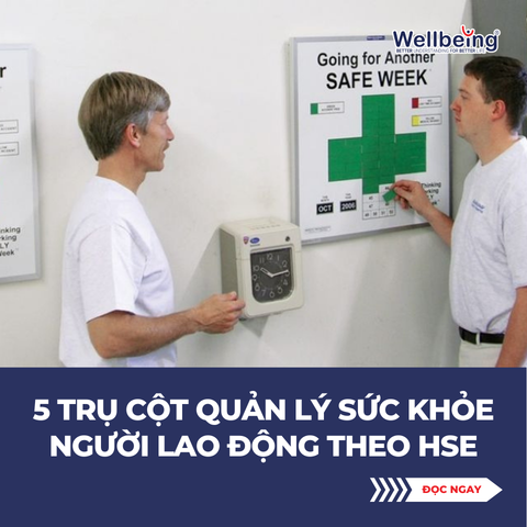 5 trụ cột quản lý sức khỏe người lao động theo HSE
