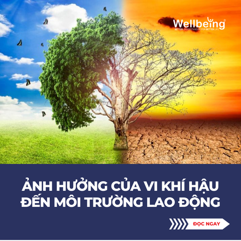 ẢNH HƯỞNG CỦA VI KHÍ HẬU ĐẾN MÔI TRƯỜNG LAO ĐỘNG