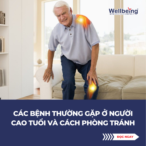Các bệnh thường gặp ở người cao tuổi và cách phòng tránh