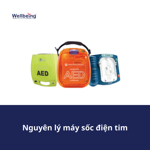 Nguyên lý máy sốc điện tim