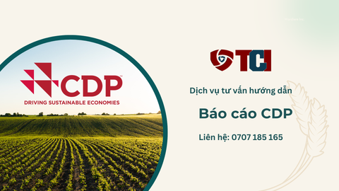 Báo cáo CDP (Carbon Disclosure Project): Yêu cầu Bắt buộc từ Chuỗi cung ứng và Nhà đầu tư?