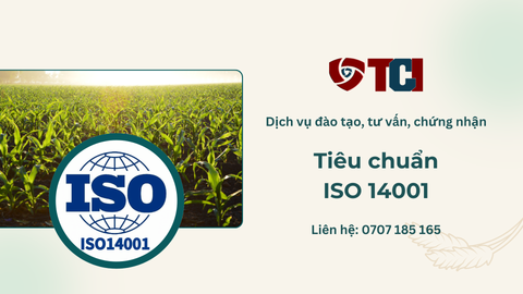 ISO 14001: Nền Tảng Kỹ Thuật Vững Chắc Cho Chiến Lược Môi Trường Trong Phát Triển Bền Vững