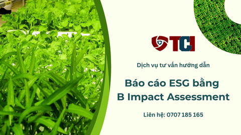 B Impact Assessment (BIA): Công Cụ Đánh Giá Toàn Diện Cho Chiến Lược ESG Của Doanh Nghiệp