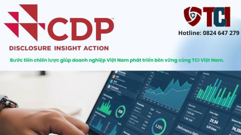 CDP – Bước tiến chiến lược giúp doanh nghiệp Việt Nam phát triển bền vững cùng TCI Việt Nam