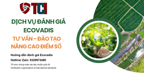 Dịch vụ tư vấn xếp hạng bền vững EcoVadis – Tấm “Hộ Chiếu Xanh” Giúp Doanh Nghiệp Bước Vào Chuỗi Cung Ứng Toàn Cầu