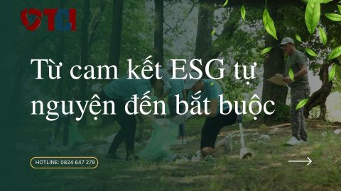 Tư vấn chiến lược ESG & Phát triển bền vững – Hành trình chuyển đổi cho doanh nghiệp Việt Nam