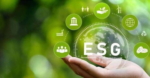 Tiêu Chuẩn ESG Là Gì? Cẩm Nang Phát Triển Bền Vững Cho Doanh Nghiệp