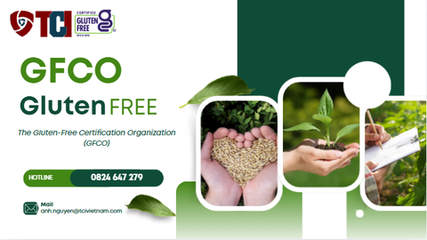 Chứng nhận GFCO – Bước đệm để sản phẩm vươn ra thị trường toàn cầu