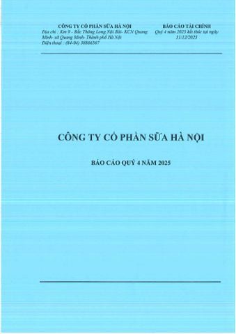 BÁO CÁO TÀI CHÍNH QUÝ 4 NĂM 2025 KẾT THÚC TẠI NGÀY 31/12/2025