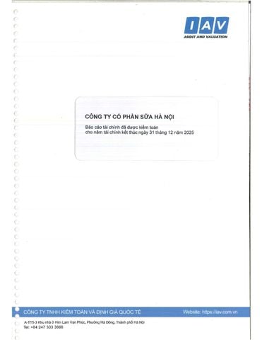 BÁO CÁO TÀI CHÍNH ĐÃ ĐƯỢC KIỂM TOÁN CHO NĂM TÀI CHÍNH KẾT THÚC NGÀY 31 THÁNG 12 NĂM 2025