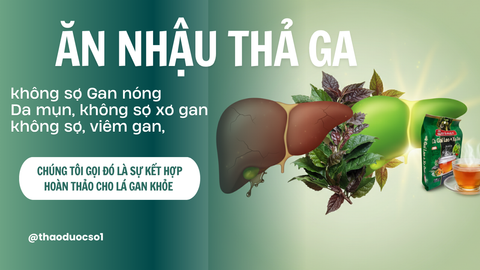 Cà Gai Leo và Xạ Đen: 