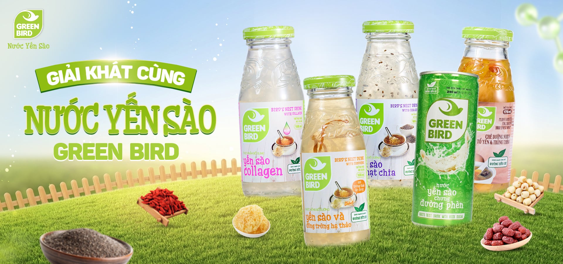Green Bird - Nước Yến Sào Giải Khát