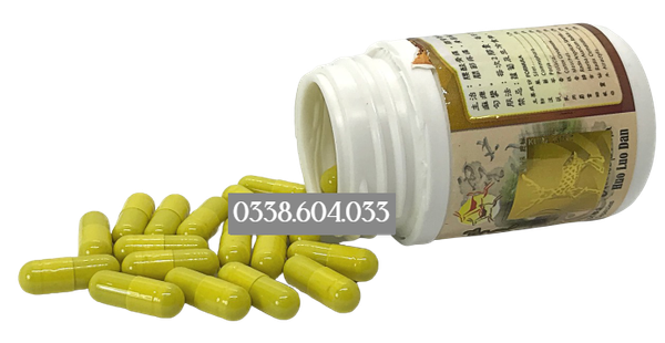 linh chi hoạt lạc đơn