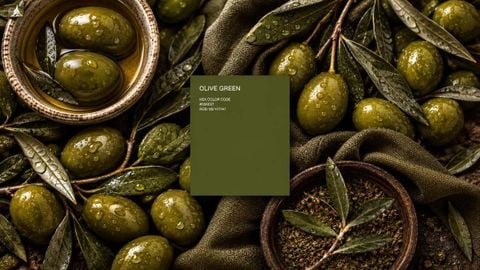 Màu olive là màu gì? Phân biệt xanh ô liu và cách phối đồ dễ mặc