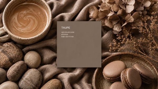 Màu taupe là màu gì? Cách nhận biết và phối đồ thanh lịch