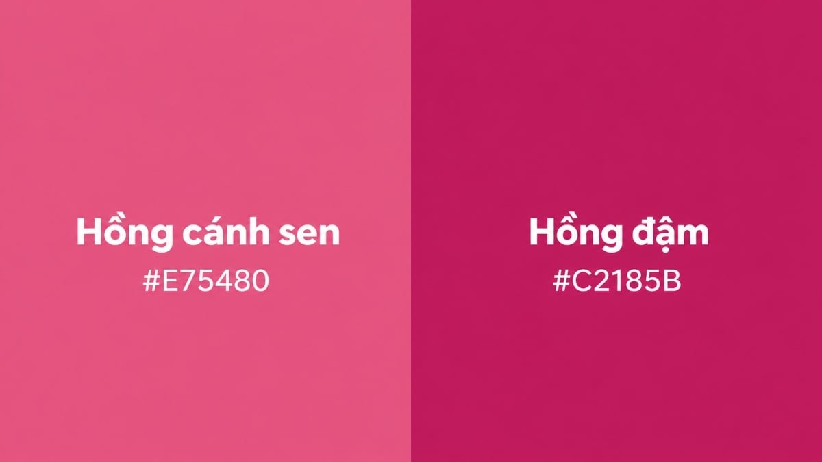 Hồng cánh sen hoặc hồng đậm