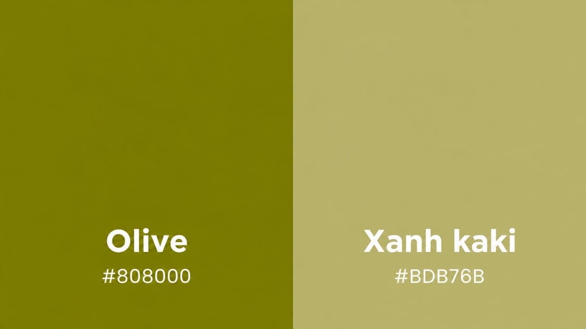 Olive và xanh kaki