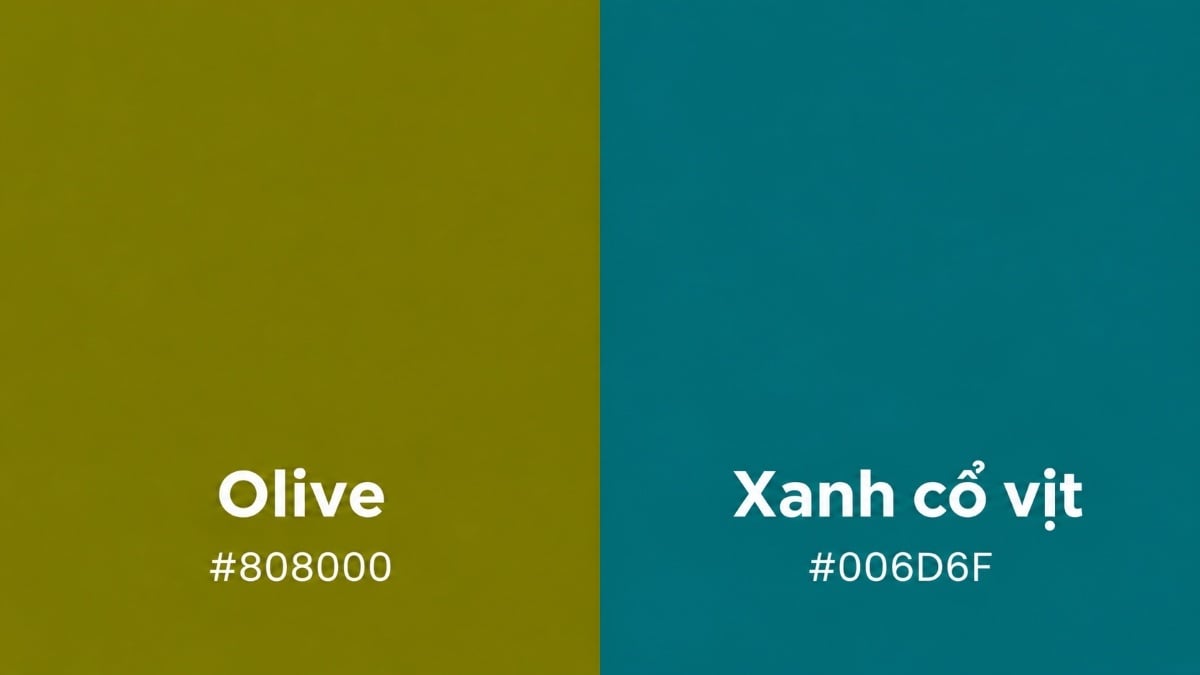 Olive và xanh cổ vịt