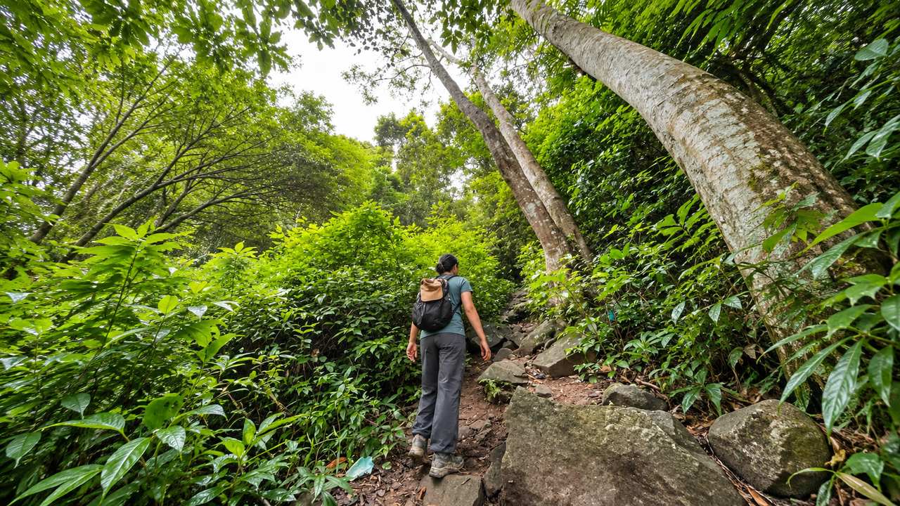 Áo thể thao, quần dài co giãn và giày trekking khi leo bộ
