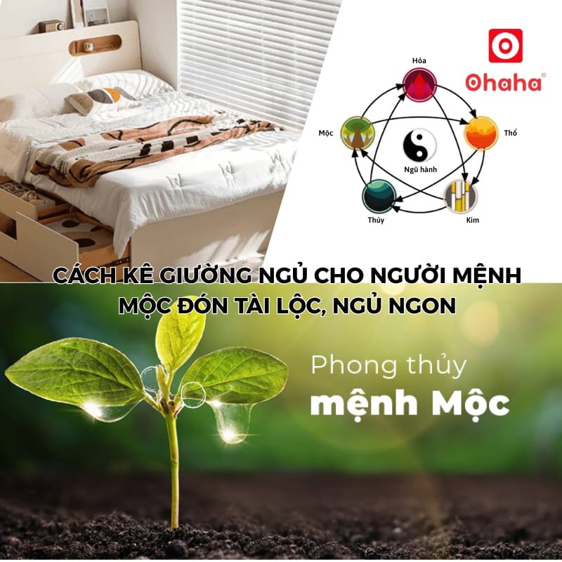 Cách kê giường ngủ cho người mệnh Mộc đón tài lộc, ngủ ngon