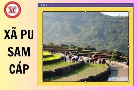 TTHCC Xã Pu Sam Cáp Hiện Đại Hóa Dịch Vụ Với Hệ Thống Xếp Hàng Tự Động Từ ComQ