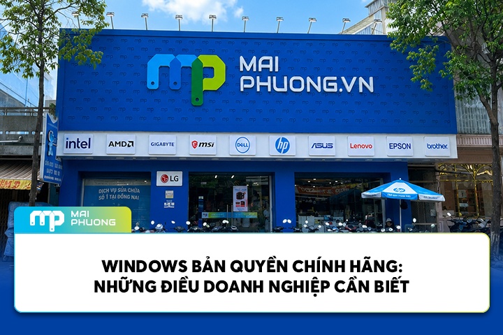 Windows Bản Quyền Chính Hãng: Những Điều Doanh Nghiệp Cần Biết