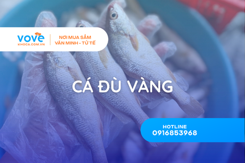 ca du vang la gi dac diem nguon goc va che bien 3 mon ngon